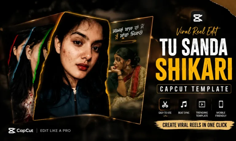 Tu Sanda Shikari Capcut Template